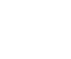 cropped logo en blanco.png