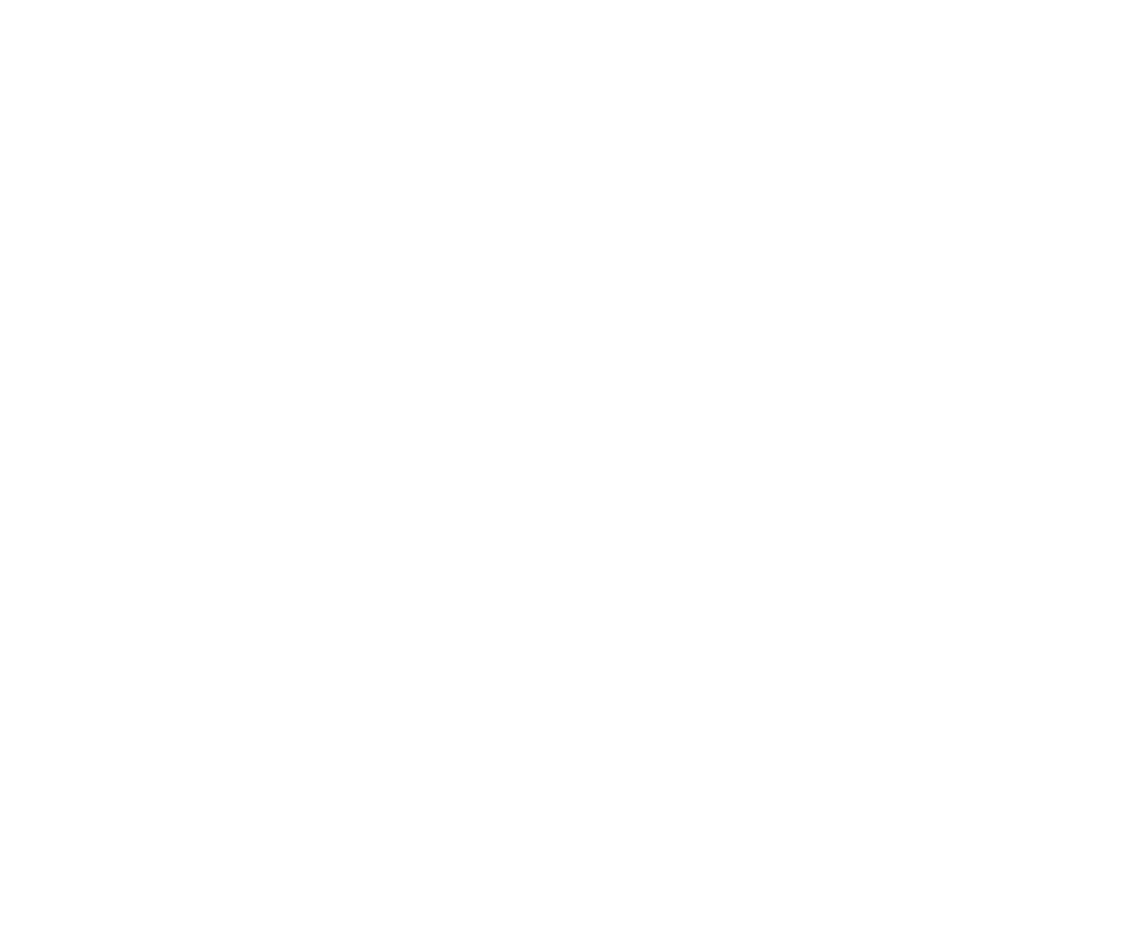 cropped logo en blanco.png