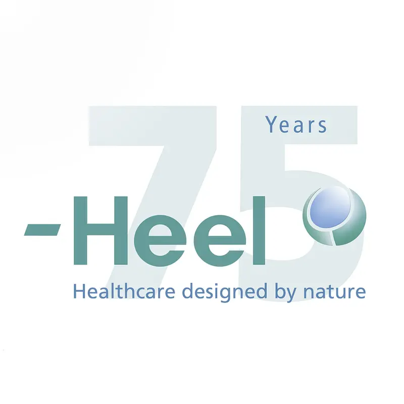 h teaser 20 2011